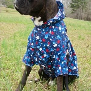 Stylish Blue and Red Dog Coat for Fashionable Pets